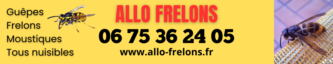 bannière allo frelons bannière allo frelons