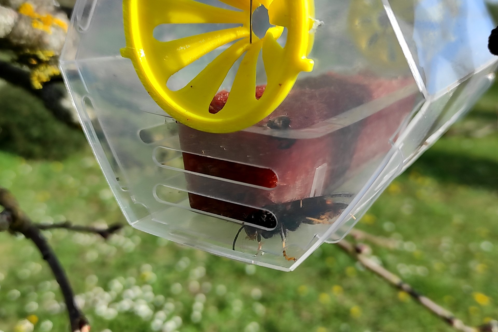 Signalement du 09/03/2026 à 14:59