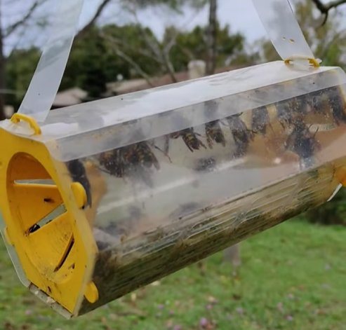 Signalement du 09/11/2025 à 17:36