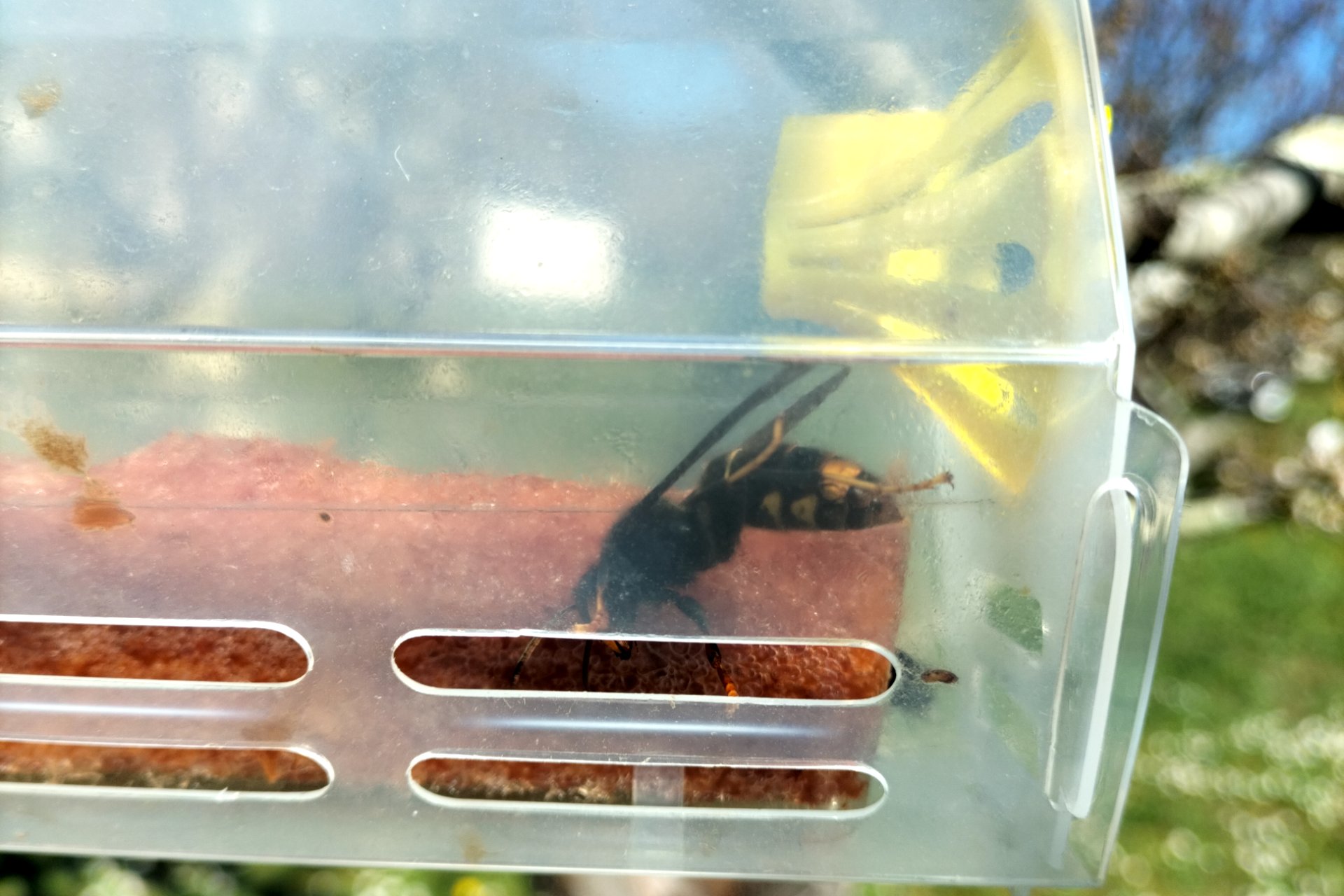 Signalement du 17/03/2026 à 15:43