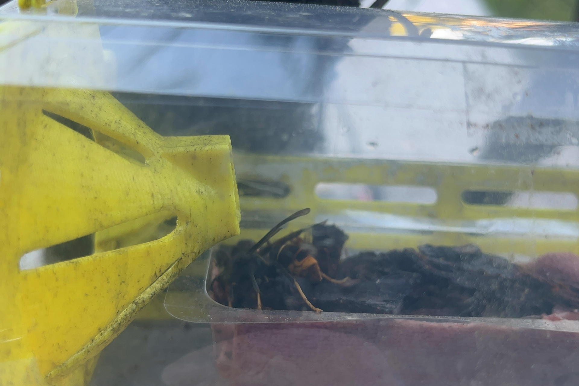 Signalement du 01/04/2026 à 19:11